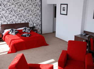 Hotel Katowice pokoje noclegi apartamenty wypoczynek w Polsce